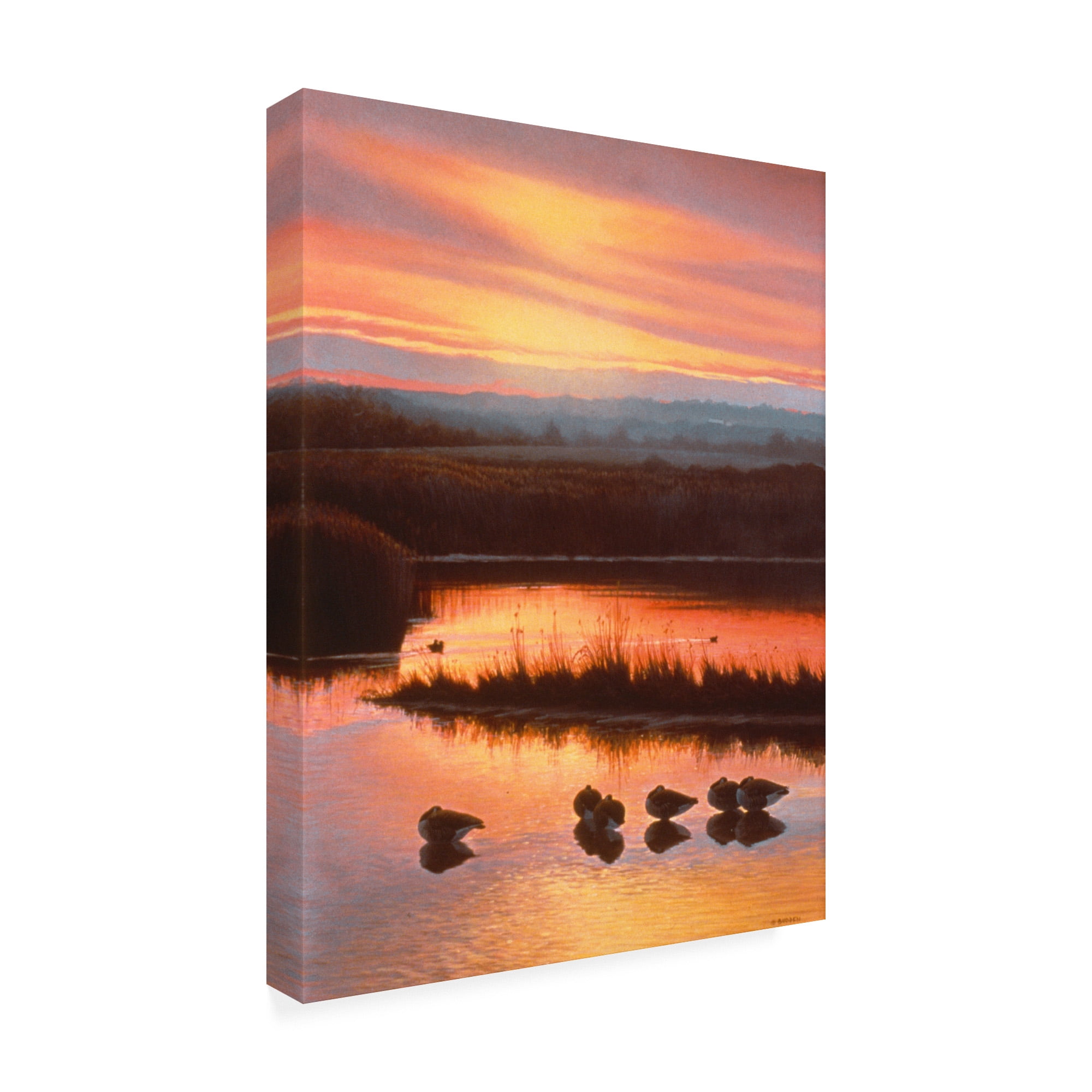 Trademark Fine Art 'Sanctuary Orange' Canvas Art by Michael Budden