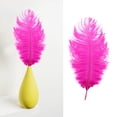 thumbnail image 2 of Large Ostrich Feathers for DIY Crafts,Soft Natural Ostrich Feathers,Craft Feathers for Thanksgiving Decor Angel Wings Dream Catchers,and Social Theme Art Projects, 2 of 2