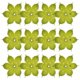 thumbnail image 5 of GOOHOCHY 50 piezas de cálices de flores de plástico, sépalos de plástico, receptáculos de cálices de flores falsas para flores de bricolaje, 5 of 8