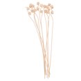 thumbnail image 4 of WHAMVOX 10Pcs Rattan Sticks for Room Fragrance Reed Diffuser Sticks for Home and, 4 of 8