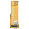Herbal Essences Honey I'm Strong Strengthening Shampoo with Honey