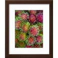 thumbnail image 2 of Rambutan for Sale at or Tor Kor Market, Framed Art Print Wall Art by Austin Bush Sold by Art.Com, 2 of 5