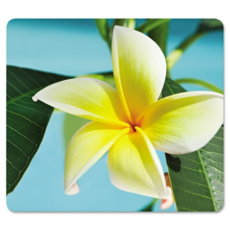 UPC: 0043859622542 | Recycled Mouse Pad Nonskid Base 7 1/2 x 9 Yellow Flowers
