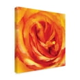 thumbnail image 2 of Trademark Fine Art 'Painterly Flower I' Canvas Art by Lola Henry, 2 of 4