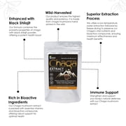 Sayan Siberian Chaga Mushroom Extract Shilajit Powder, Herbal Supplement (Black, 2 oz)
