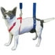 thumbnail image 5 of Arnés de soporte de cadera para perros GingerLead X-Small, 5 of 6