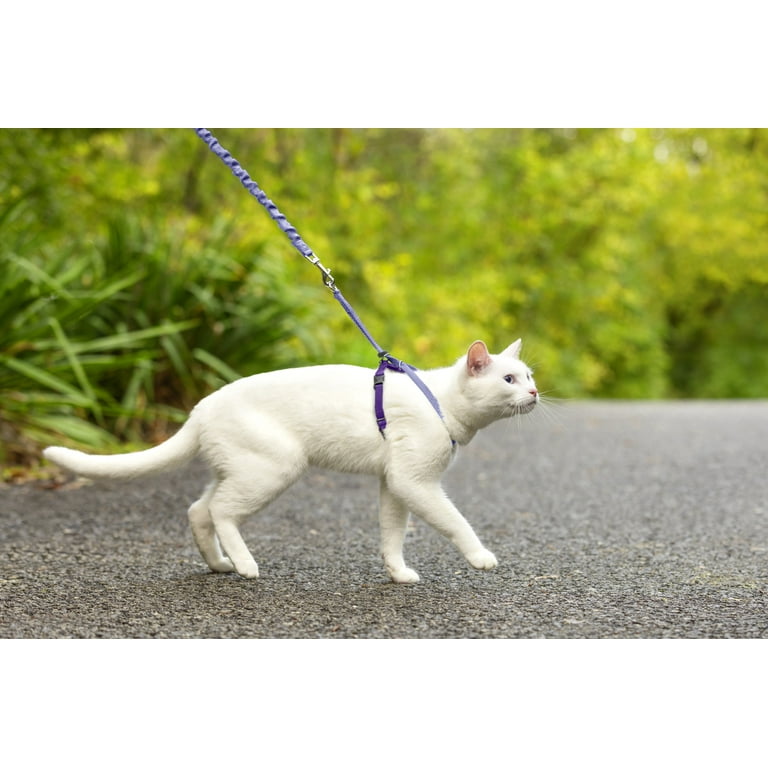 Come With Me Kitty™ Cat Harness & Bungee Leash