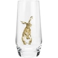 thumbnail image 5 of Royal Worcester Wrendale Designs Assorted Country Animals Hi-Ball Glasses - Set of 4, 5 of 5