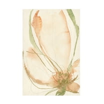Jennifer Goldberger 'Petal Sketches I' Canvas Art