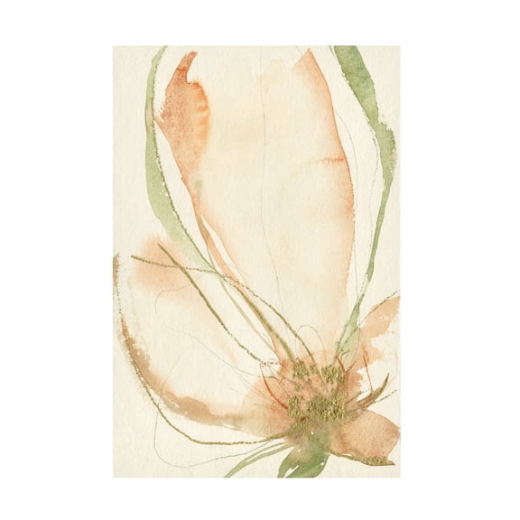 Jennifer Goldberger 'Petal Sketches I' Canvas Art