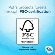 لوشن Puffs Plus لمناديل الوجه، 6 صناديق عائلية، 124 منديلًا في كل صندوق