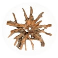 thumbnail image 2 of Chic Teak Rustic Teak Wood Root Live Edge Coffee Table including a 63" Round Glass Top, 2 of 5