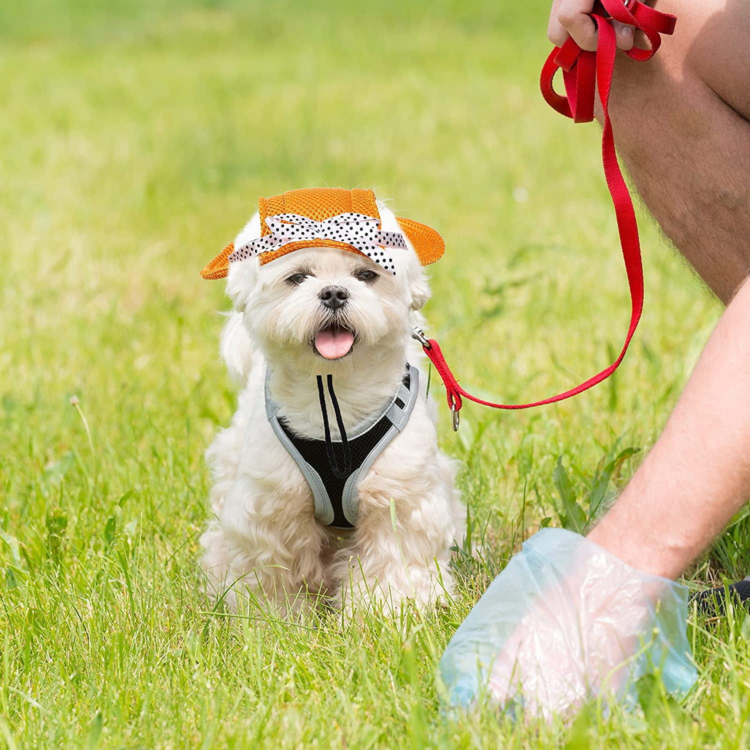 4 Pieces Pet Round Brim Dog Hat 
