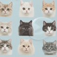 thumbnail image 4 of Yayeee Shower Curtain with Hooks 72"x72" Waterproof Fabric Bathroom Hanging Decor, Cute Cat Faces, 4 of 5