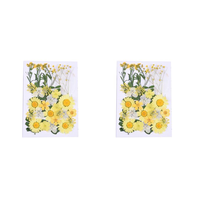 Matsuzay Flores prensadas de flores secas, pintura de pared hermosa múltiple, accesorios de bricolaje, artículos para el hogar para tarjetas Type1 NO1