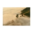 thumbnail image 1 of Trademark Fine Art 'Clouds Trees' Canvas Art by PhotoINC Studio, 1 of 3