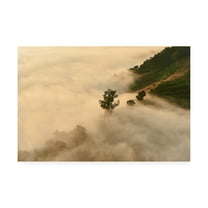 Trademark Fine Art 'Clouds Trees' Canvas Art by PhotoINC Studio