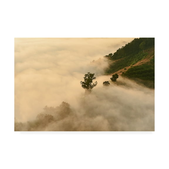 Trademark Fine Art 'Clouds Trees' Canvas Art by PhotoINC Studio