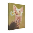 thumbnail image 2 of Trademark Fine Art 'Life as a Pig IV' Canvas Art by Carolyne Hawley, 2 of 4
