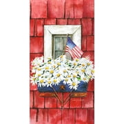 Boston International IHR 3-Ply Paper Dinner Napkins, 8.5" x 4.5", Patriotic Planter (Pack of 16)