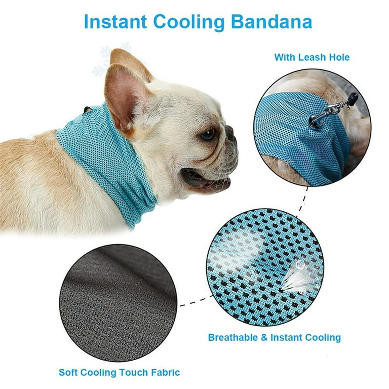 Ice collar for clearance dogs