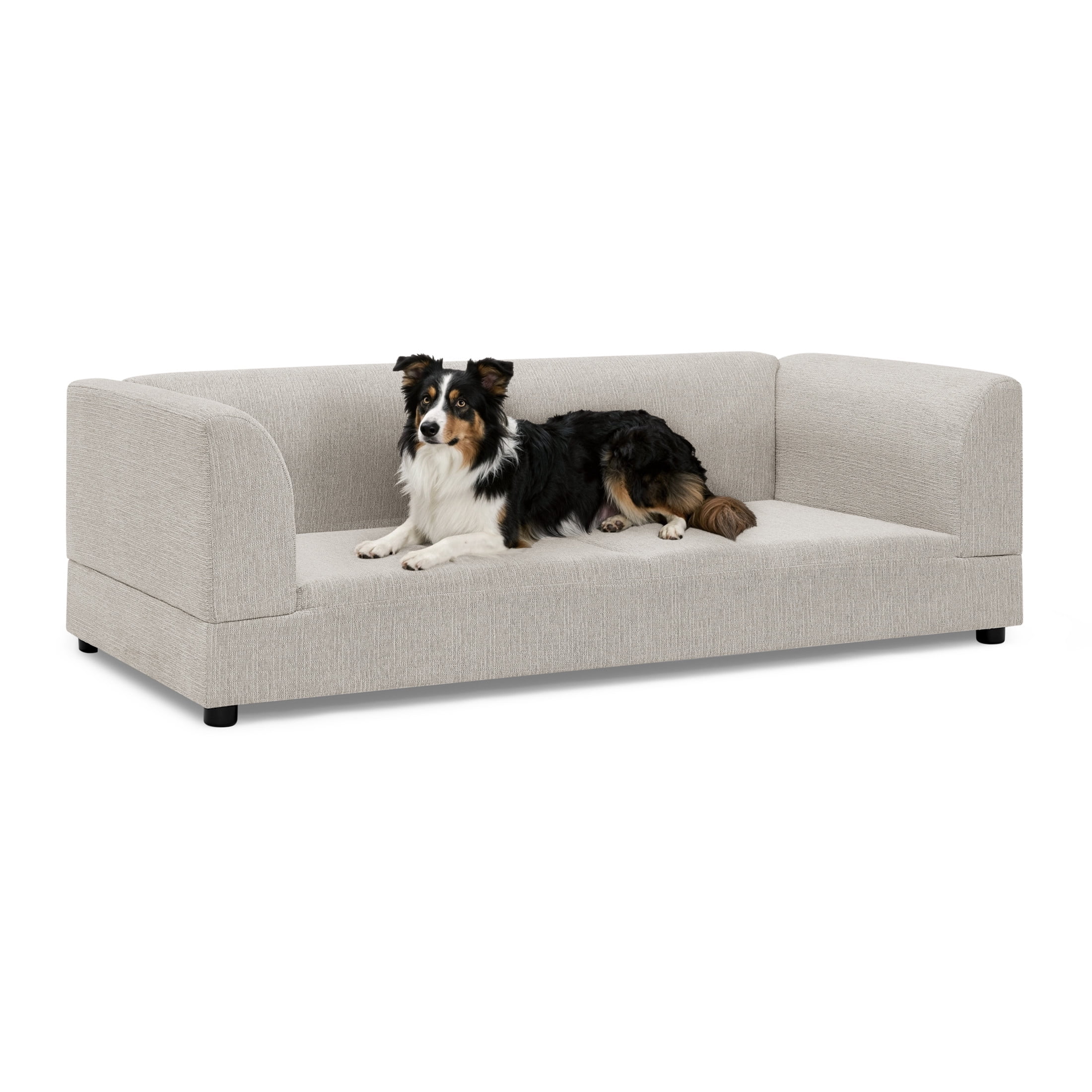 Noble House 57" Comfortable Oversized Pet Sofa, Modern Rectangular Dog Bed with Armrests and Cushion, Beige