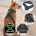 thumbnail image 3 of Chaleco de perro iluminado Vizbrite LED recargable para perros, 3 of 6