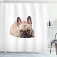 thumbnail image 1 of Ambesonne Bulldog Shower Curtain, Funny Pet Animal Lovers, 69"Wx75"L, Sand Brown Pale Pink, 1 of 3