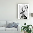 thumbnail image 3 of Trademark Fine Art 'Deer Portrait 2' Canvas Art by Fab Funky, 3 of 3