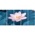 thumbnail image 2 of Blooming Pink Lotus Flower, 2 of 3