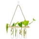 thumbnail image 3 of Colgante de pared Tubo de ensayo Jarrones Planta hidropónica Propagador Terrario Mini Lindo Purificar Estaciones de propagación para habitación Oficina Balcón Color de madera Monstrate HA011390-02B, 3 of 7