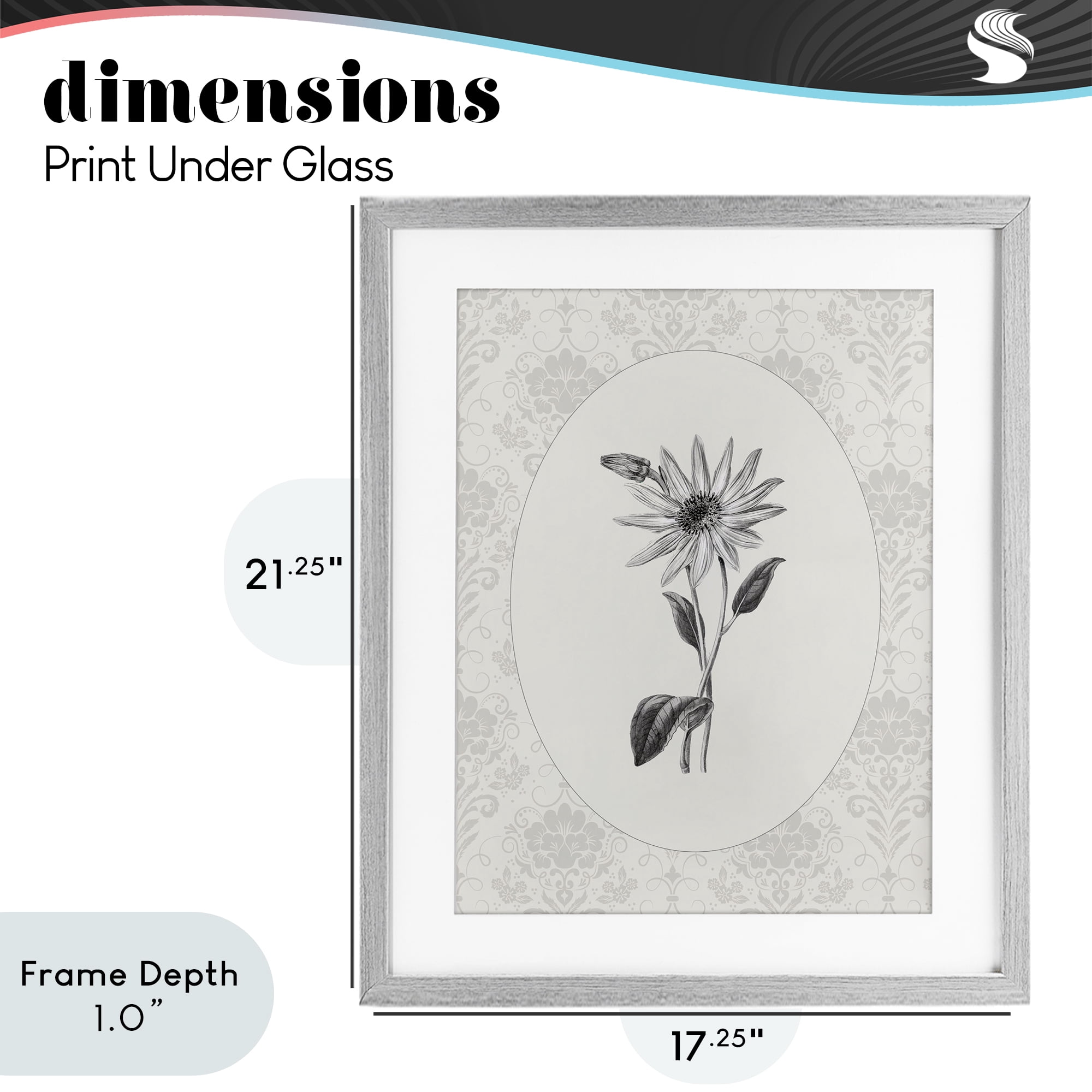 Stupell Industries Antique Botanical & Lace Gray Framed Print Under Glass, design by CAD Designs