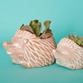 thumbnail image 2 of Large Terracotta Hedgehog Pot, 2 of 4