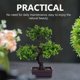 thumbnail image 1 of unbranded Planta Decorativa Artificial Para Con Elaboración Duradera Y Sin, 1 of 6
