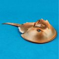 thumbnail image 2 of High Simulation Horseshoe Crab Animal Model Marine Organism Decoration for Children Playing, 2 of 9