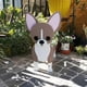 thumbnail image 3 of Cute Dog Planter Plant Pot,animal Flower Planter Pot For Garden Decors Hot, 3 of 5