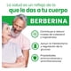 thumbnail image 3 of Berberina 60 cápsulas All Nature, 3 of 4
