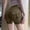 Army Green, variant on Women's High-Waisted Scrunch Butt Shorts with Side Pockets and Stretchy Waistband, Buttery Soft Fabric for All Day Comfort Army Green L