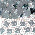thumbnail image 1 of Amscan 25 Confettis, 1 of 1