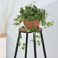 thumbnail image 5 of HongHeng Clearance Under $2.00 Hanging Rattan Small Size Hanging Basket Planter Water Barrier Designs No Rotten Rootss for Gardening and Home Decorating, 5 of 6