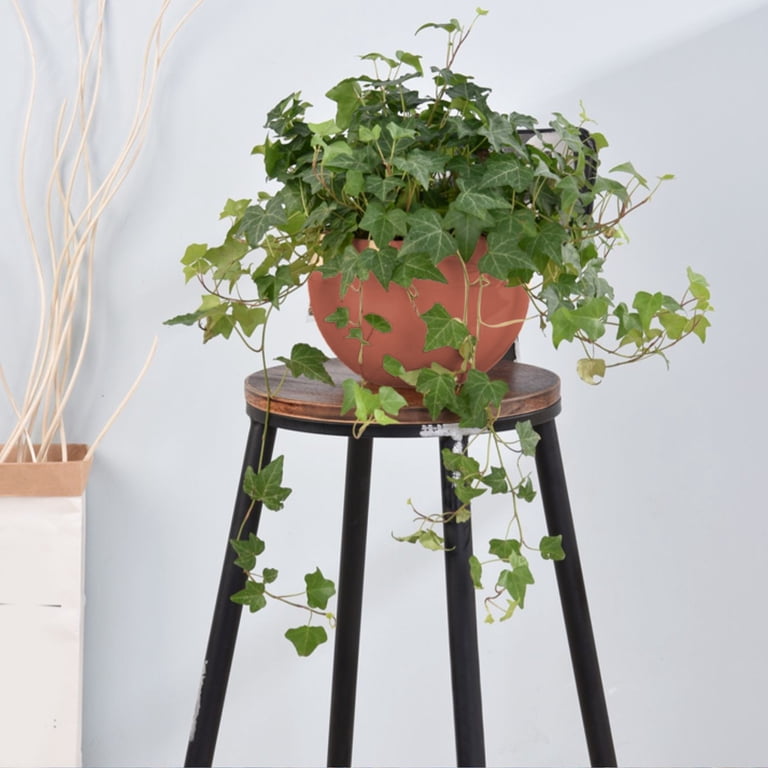 indoor self watering plant pots Urban Dweller Self-Watering Pot- Sand