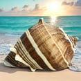 thumbnail image 2 of Large Conch Seashell Rare Brown White Spiky Natural Coastal Beach Home Decor Nautical Big Centerpiece Sea Shell Decoration Beach Collection Gift, 2 of 5