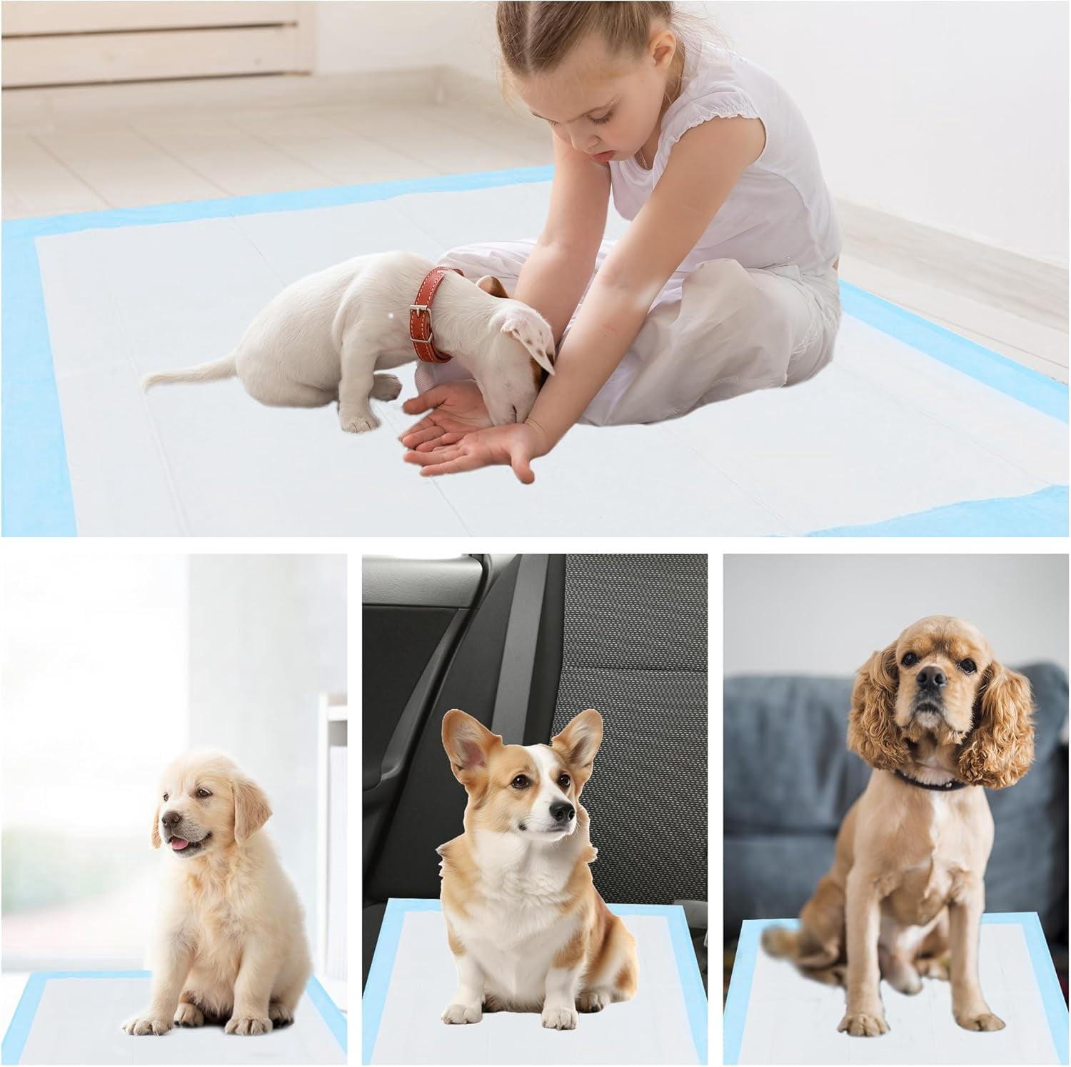 22x22 Dog Training Pads Dog and Puppy Pee Pads for Dog Playpen with Leak-Proof Dog Pee Pads Glad for Pets Training Dogs Potty Training Pads 22x22