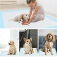 thumbnail image 4 of 22x22 Dog Training Pads Dog and Puppy Pee Pads for Dog Playpen with Leak-Proof Dog Pee Pads Glad for Pets Training Dogs Potty Training Pads 22x22, 4 of 8