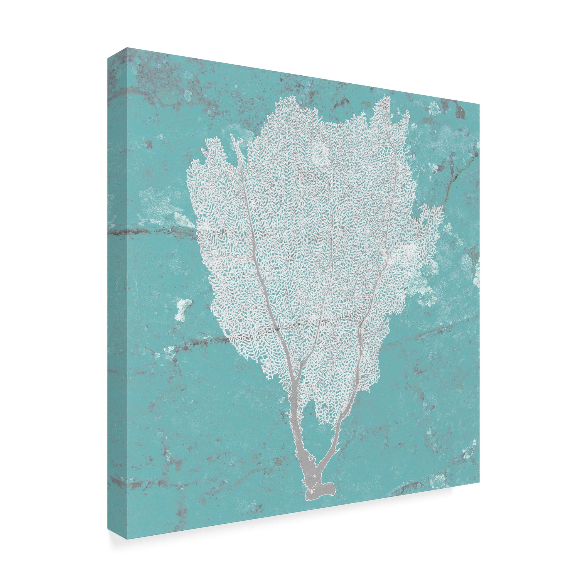 Trademark Fine Art 'Graphic Sea Fan I' Canvas Art by Studio W