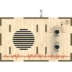 Kaito DIY-63 AM/FM Radio Kit, Build Your Own Radio in 20 Minutes ...