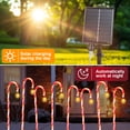 thumbnail image 2 of Fohil 4 FT Solar Candy Cane Lights, 6 Pack Solar Christmas Lights Outdoor with 8 Modes for Garden, 2 of 7