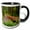 Black/White, variant on 3drose, Hoh Rainforest, Olympic Np, Washington - Us48 Rkl0013 - Raymond Klass, 11oz Two-tone Black Mug