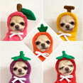 thumbnail image 5 of Abrigo de suéter básico para perros, abrigo cálido con forma de rana bonita, conjunto de ropa para clima frío para mascotas, abrigo MFZFUKR CPB-DE-LYY1948-2, 5 of 5