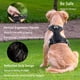 thumbnail image 5 of Arnés para perros Funfox, tamaño mediano, ajustable, negro, 5 of 8